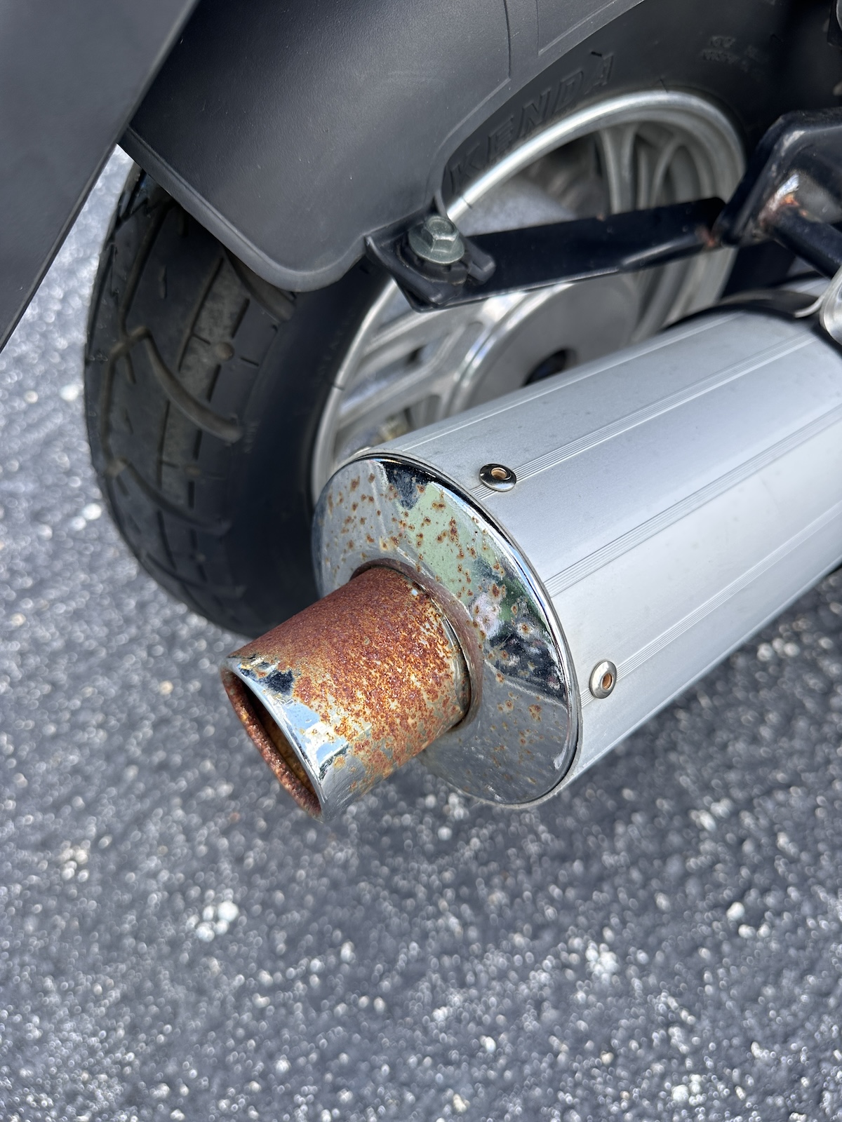 2023 LIMITED EDITION Custom Carbon Fiber / Black Wolf RX-50 Scooter (Ref# 2316) - LOW MILEAGE - Image 8