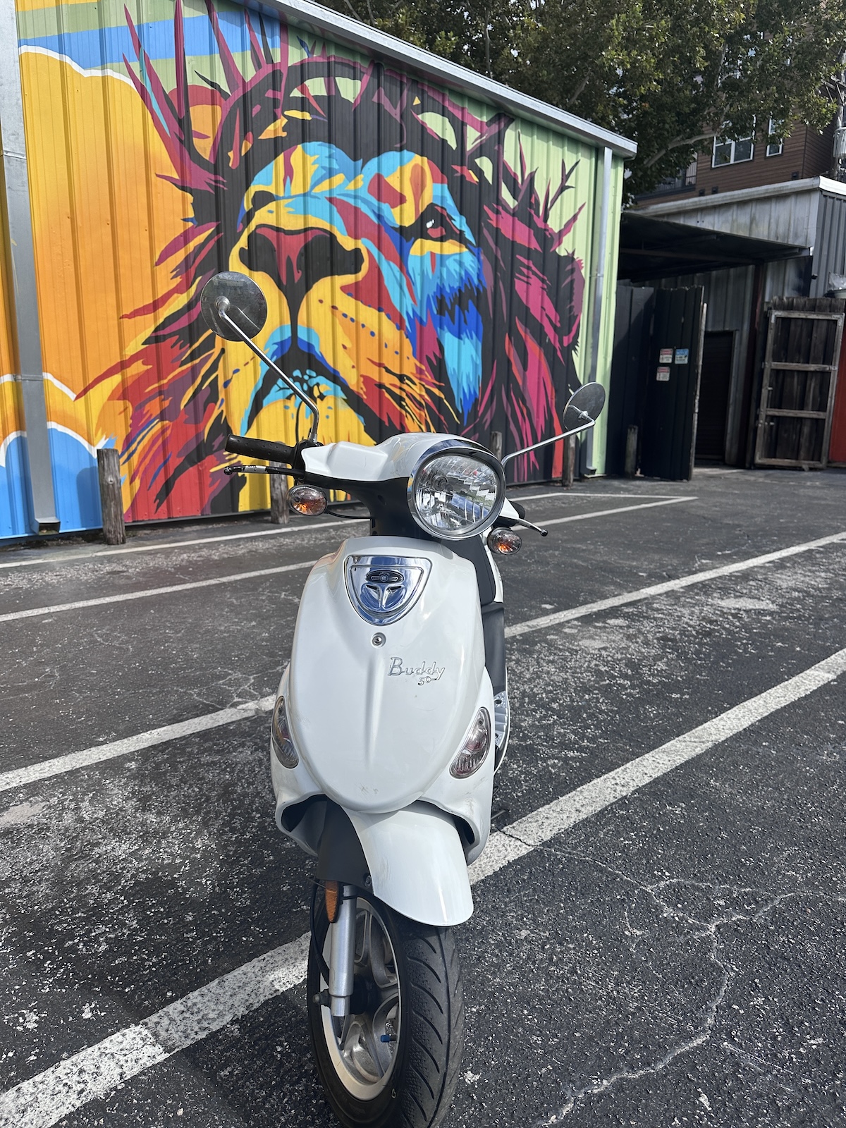 2019 White Genuine Buddy Scooter (Ref# 5299) - Image 4